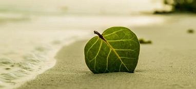 生態環境部：加強“三水”統籌、陸海聯動，深入打好碧水保衛戰！