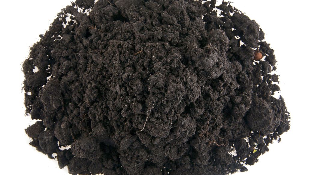 關于cod你了解多少？