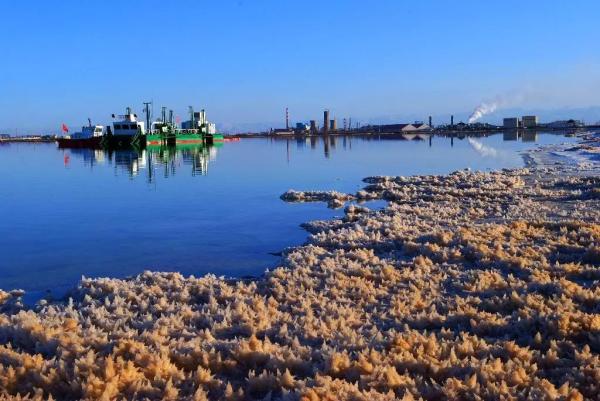 上海國際環保展|青海省發布最新生態環境報告